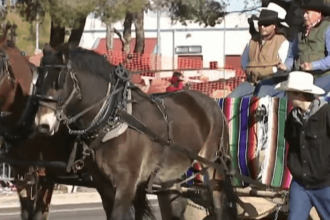 Sunny and cool conditions expected for the Rodeo Parade tomorrow | Weather