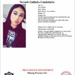 Police search for Mesa teen