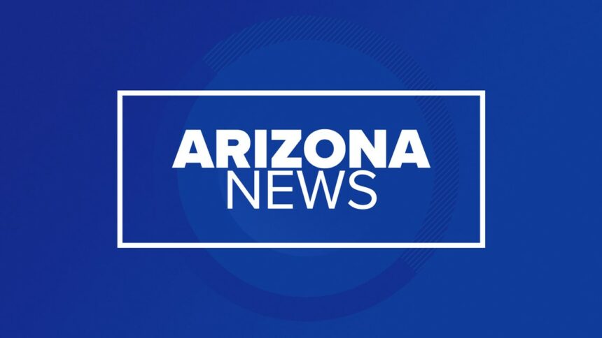 Arizona man found guilty of murdering his girlfriend