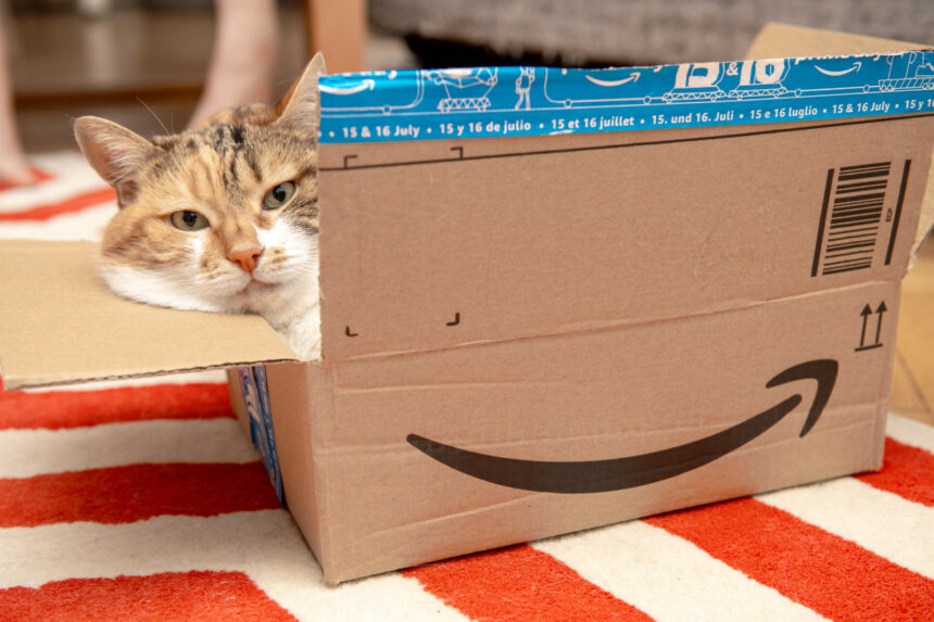 Amazon Is Selling a 'Super Adorable' Mini Cat Laptop and Shoppers Are Saying Their Cats 'Absolutely Love It'
