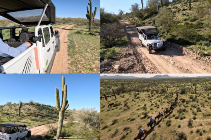 Fort McDowell Adventures offers thrilling ‘Jumping Cholla Jeep Tour’