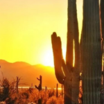 Warmer temperatures are on the way for Tucson | Weather