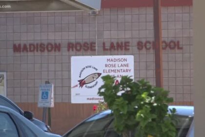 Phoenix school bus driver stops gun from being brought on campus