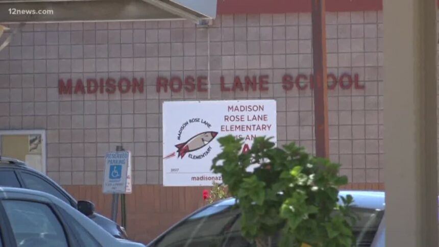 Phoenix school bus driver stops gun from being brought on campus